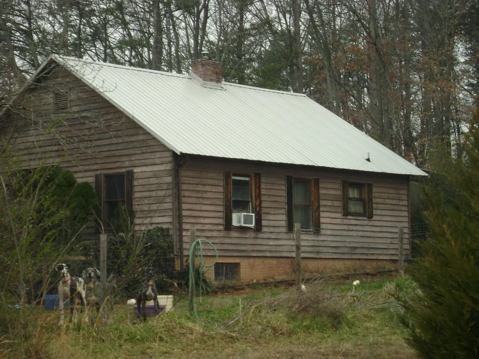 White metal roof on an old wood sided farmhouse, from a Asphalt Shingle Roof Repair job in Haydenville